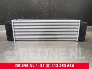 Mercedes Sprinter Intercooler O9990000493 foto 4