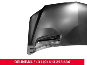 Mercedes Sprinter Bonnet O9990000119 photo 2