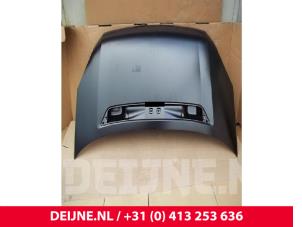 Volkswagen Crafter Bonnet O9990000121 photo 2