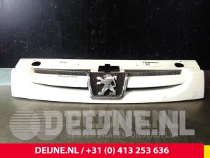 Peugeot Partner Grille O33049 foto 2