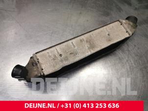 Ford Transit Ladeluftkühler O56814 foto 4