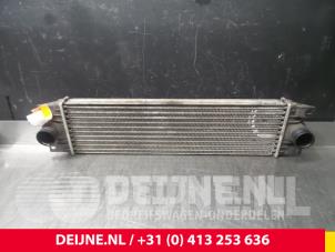 Opel Movano Ladeluftkühler O56853 foto 2