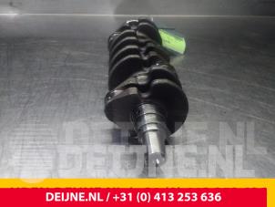Peugeot Expert Krukas O62215 foto 2