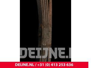 Nissan Vanette Blattfeder hinten O71404 foto 3