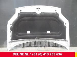 Citroen Berlingo Motorhaube O33286 foto 2