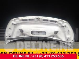 Citroen Jumpy Motorhaube O33306 foto 2