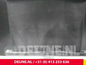 Volkswagen Passat Hoedenplank O50342 foto 2