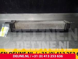 Fiat Fiorino Intercooler O56923 foto 4
