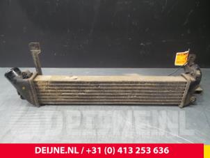 Nissan Kubistar Intercooler O56937 foto 2