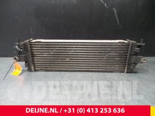 Nissan Primastar Intercooler O56939 foto 2