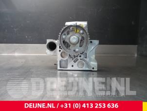 Renault Kangoo Zylinderkopf O61509 foto 4