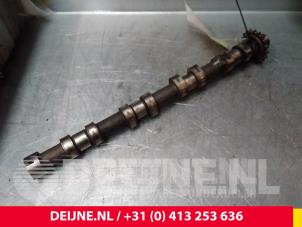 Peugeot Expert Nockenwelle O61906 foto 2