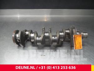 Gebruikte Krukas Iveco New Daily Prijs € 272,25 Inclusief btw aangeboden door van Deijne Onderdelen Uden B.V.