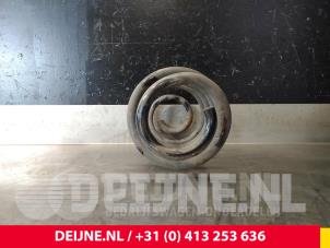 Fiat Doblo Schroefveer achter O71154 foto 2