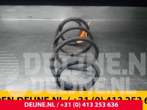 Renault Kangoo Schroefveer achter O71191 foto 2