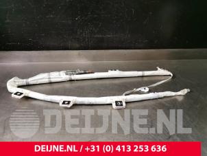 Mercedes ML-Klasse Roof curtain airbag, left O87616 photo 2