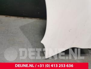Fiat Doblo Kotflügel links vorne O90196 foto 2