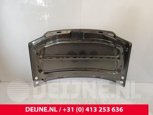 Volkswagen Caddy Bonnet O9990001241 photo 2