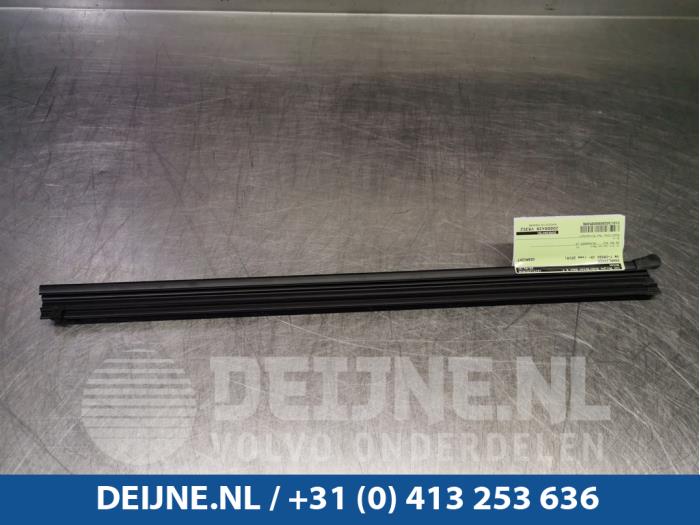 Volkswagen T-Cross Raamlikker O95496