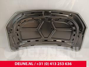Volkswagen Caddy Bonnet O9990001282 photo 3