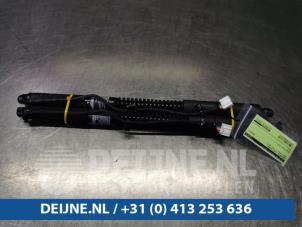 Gebruikte Gasveer links-achter Tesla Model X 100D Prijs € 96,80 Inclusief btw aangeboden door van Deijne Onderdelen Uden B.V.