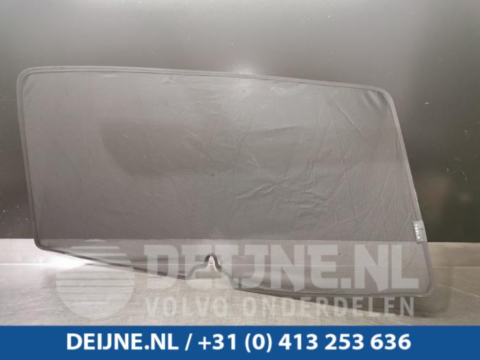 Tesla Model X Sonnenkollektor O97502