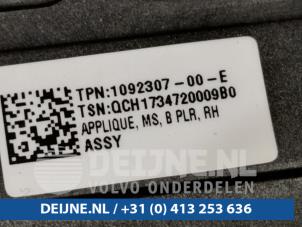 Tesla Model S B-stijl sierlijst exterieur O97930 foto 3