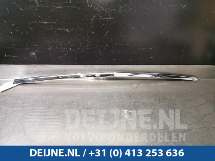 Tesla Model X Sierstrip O99895