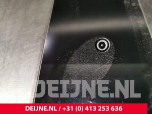 Tesla Model 3 B-pillar cover O104461 photo 2