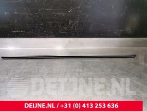 Tesla Model 3 Raamlikker O104567 foto 2