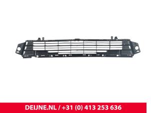 Citroen Berlingo Stoßstangenrost O9990001370 foto 2