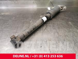 Tesla Model 3 Stoßdämpfer links hinten O108158 foto 2