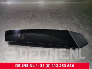Tesla Model 3 B-Säule Abdeckkappe O108256 foto 2