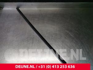 Tesla Model 3 Raamlikker O108620 foto 3