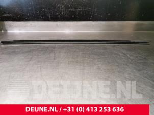 Tesla Model 3 Raamlikker O110563 foto 3