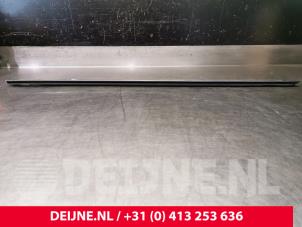Tesla Model 3 Raamlikker O110563 foto 2
