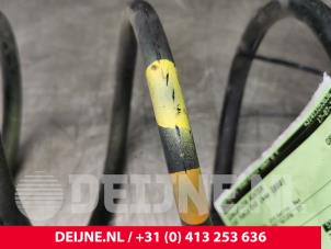 Fiat Punto Evo Schraubenfeder hinten O112141 foto 3