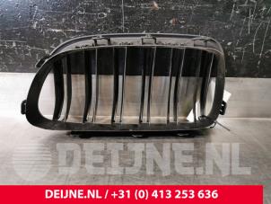 BMW 5-Serie Grille O118762 foto 2