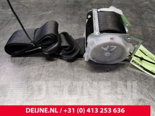 Tesla Model S Sicherheitsgurt links hinten O118819 foto 3