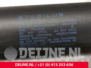 Tesla Model S Gasdämpfer links hinten O118868 foto 3