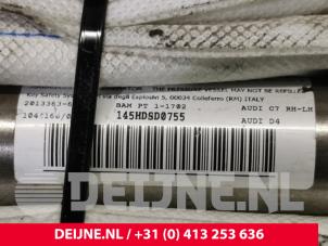 Audi S8 Airbag Himmel links O118910 foto 3