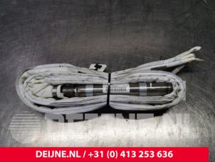 Audi S8 Airbag Himmel links O118910 foto 2