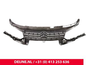 Citroen Berlingo Grille O9990001482 foto 2