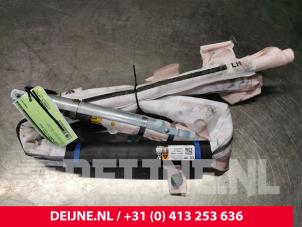 Tesla Model S Airbag Himmel links O128372 foto 3