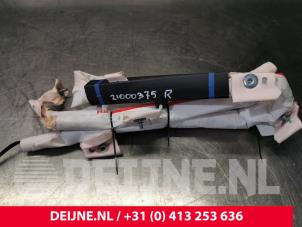 Tesla Model S Roof curtain airbag, right O128373 photo 2