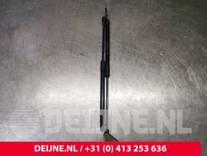 Polestar 2 Set of bonnet gas struts O130063 photo 2