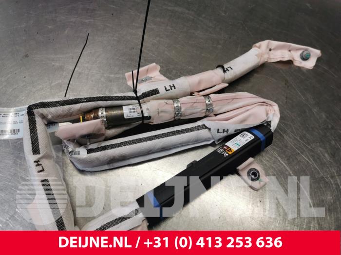 Tesla Model S Airbag hemel links O135653
