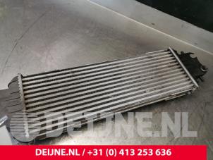 Opel Vivaro Intercooler O146240 foto 3