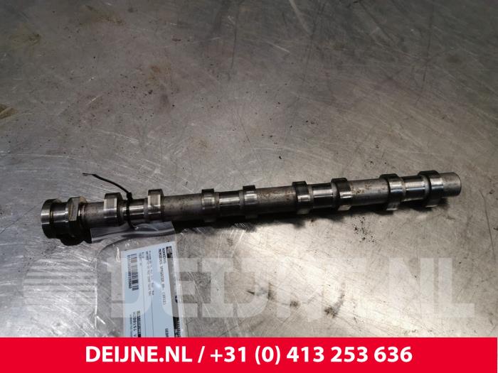 Mercedes Sprinter Nokkenas O155060