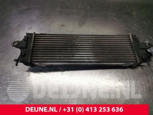 Opel Vivaro Intercooler O160707 foto 3